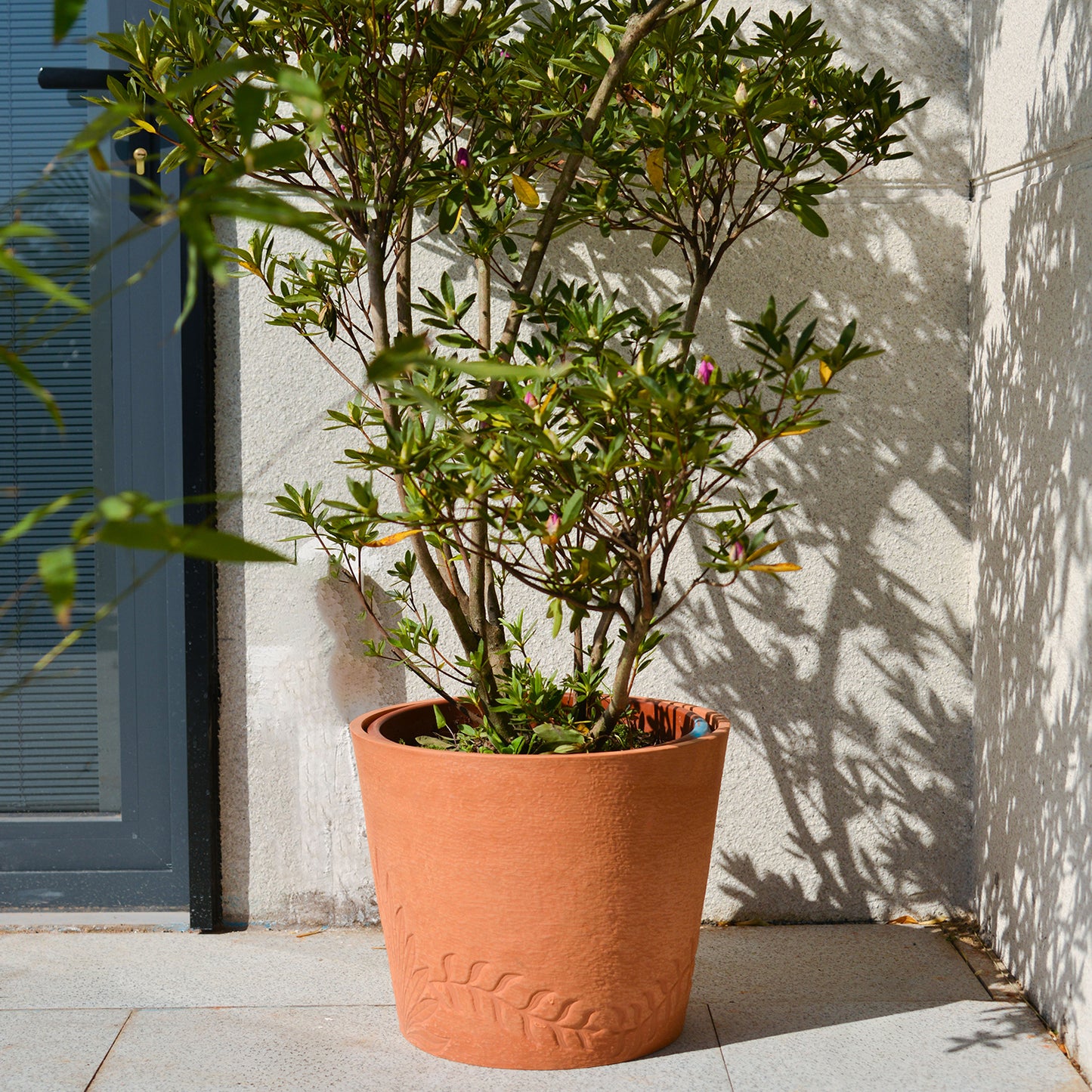 GreenShip Palm and Vine 15 in. W x 12.2 in. H Indoor/Outdoor Resin Decorative Planter