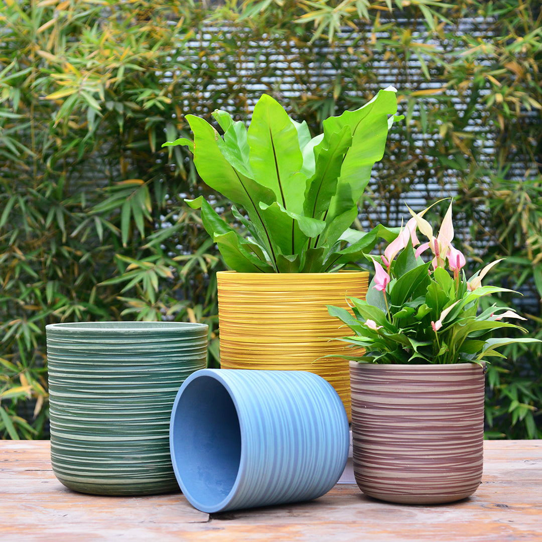 GreenShip Planter for Indoor Plants,8 inch or 10 inch Plant Pots with Drainage Hole,Modern Plant Pots,Decorative Flower Pots(Plants Not Included)