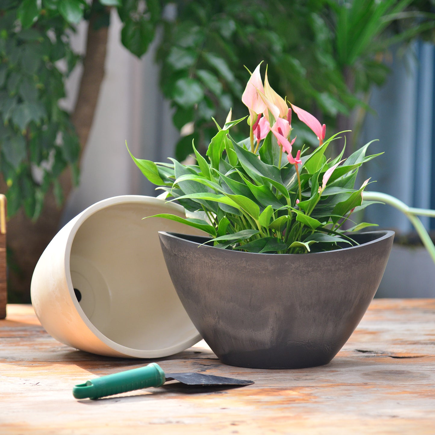 GreenShip 2 Pack Curved Planter for Indoor Plants, Plant Pots with Drainage Hole, Decorative Flower Pots, Plant Pot Bowl(Plants Not Included)