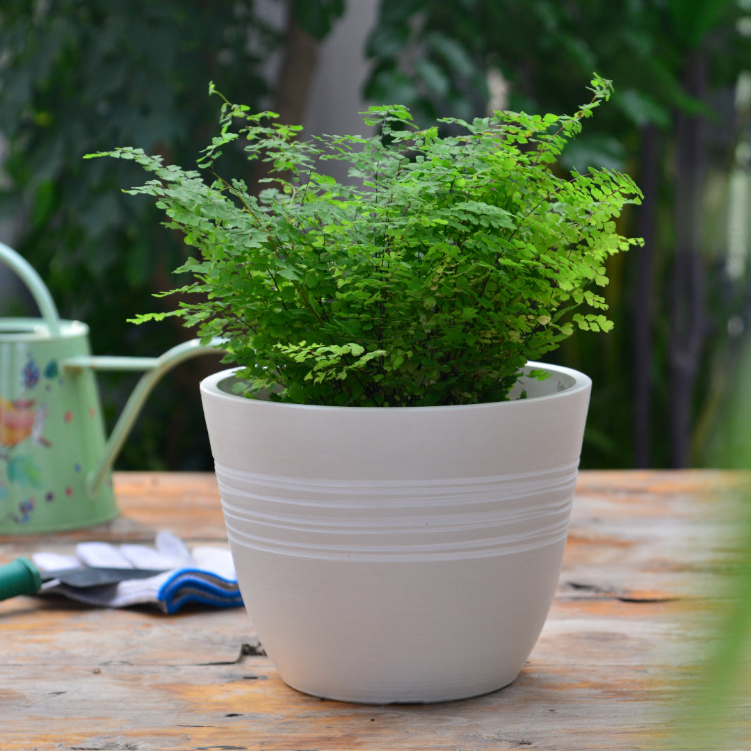 GreenShip Planter for Indoor Outdoor Plants, Set of 2 Modern Decorative Plant Pots with Drainage Hole, Decorative Flower Pots(Plants Not Included)