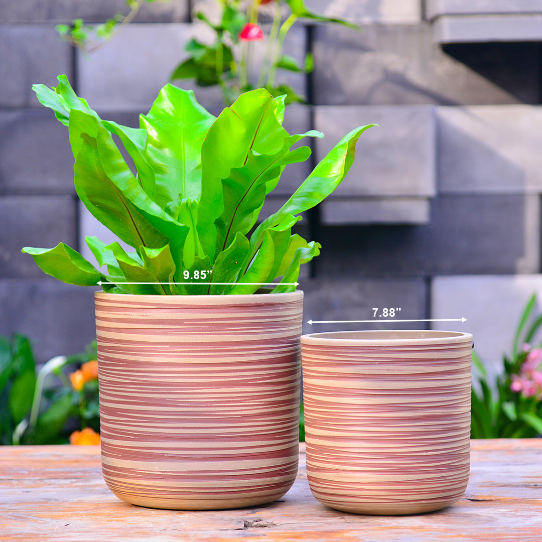 GreenShip Planter for Indoor Plants,8 inch or 10 inch Plant Pots with Drainage Hole,Modern Plant Pots,Decorative Flower Pots(Plants Not Included)