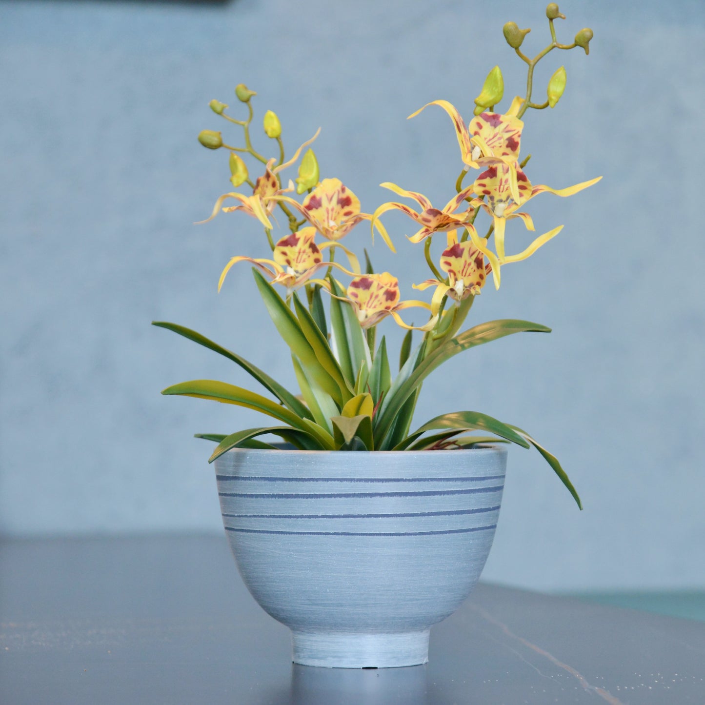 GreenShip Planter 8 inch W / 10 inch W Indoor Plants, 2 Pack Modern Decorative Plant Pots with Drainage Hole, Cute Bowl Shape Flower Pots(Plants Not Included)