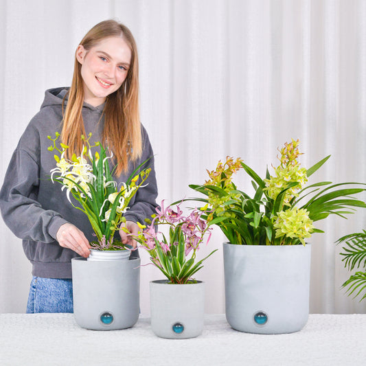 GreenShip 3 Pack Self-Watering Pots for Indoor Plants, 6 inch 8 inch 10 inch Planter, Modern Decorative Flower Pots(Plants Not Included)