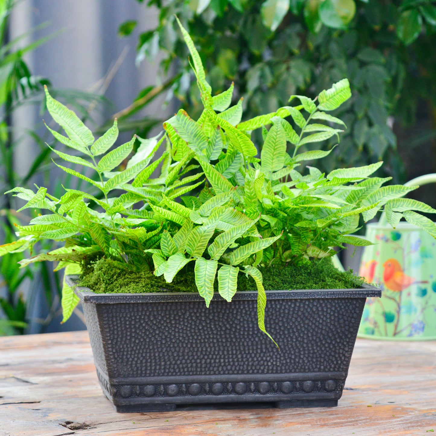 GreenShip 13.4 L x 8.66 W x 5.52 H inch Classic Long Large Rectangular Window Box Planter for Indoor Outdoor Patio Balcony, Durable Window Planter with Drainage Hole(Plants Not Included)