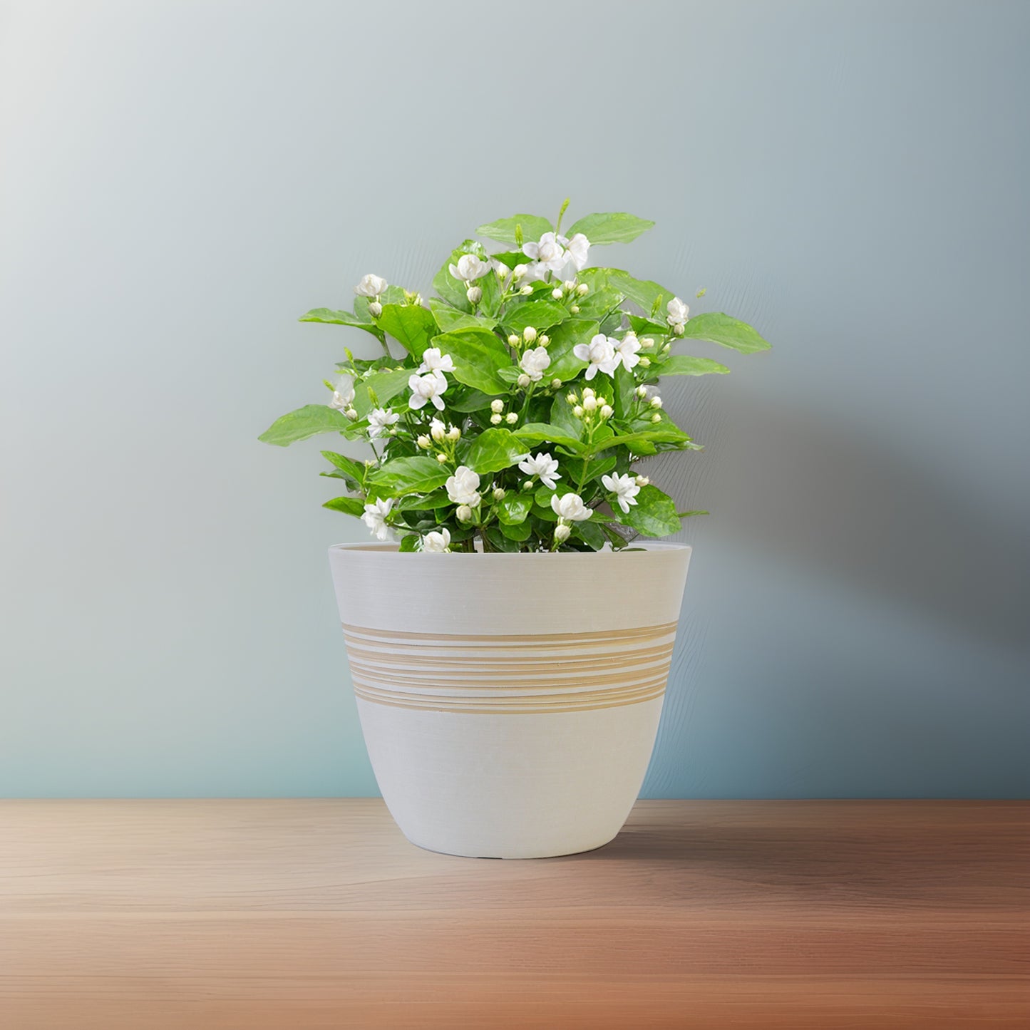 GreenShip Planter for Indoor Outdoor Plants, Set of 2 Modern Decorative Plant Pots with Drainage Hole, Decorative Flower Pots(Plants Not Included)