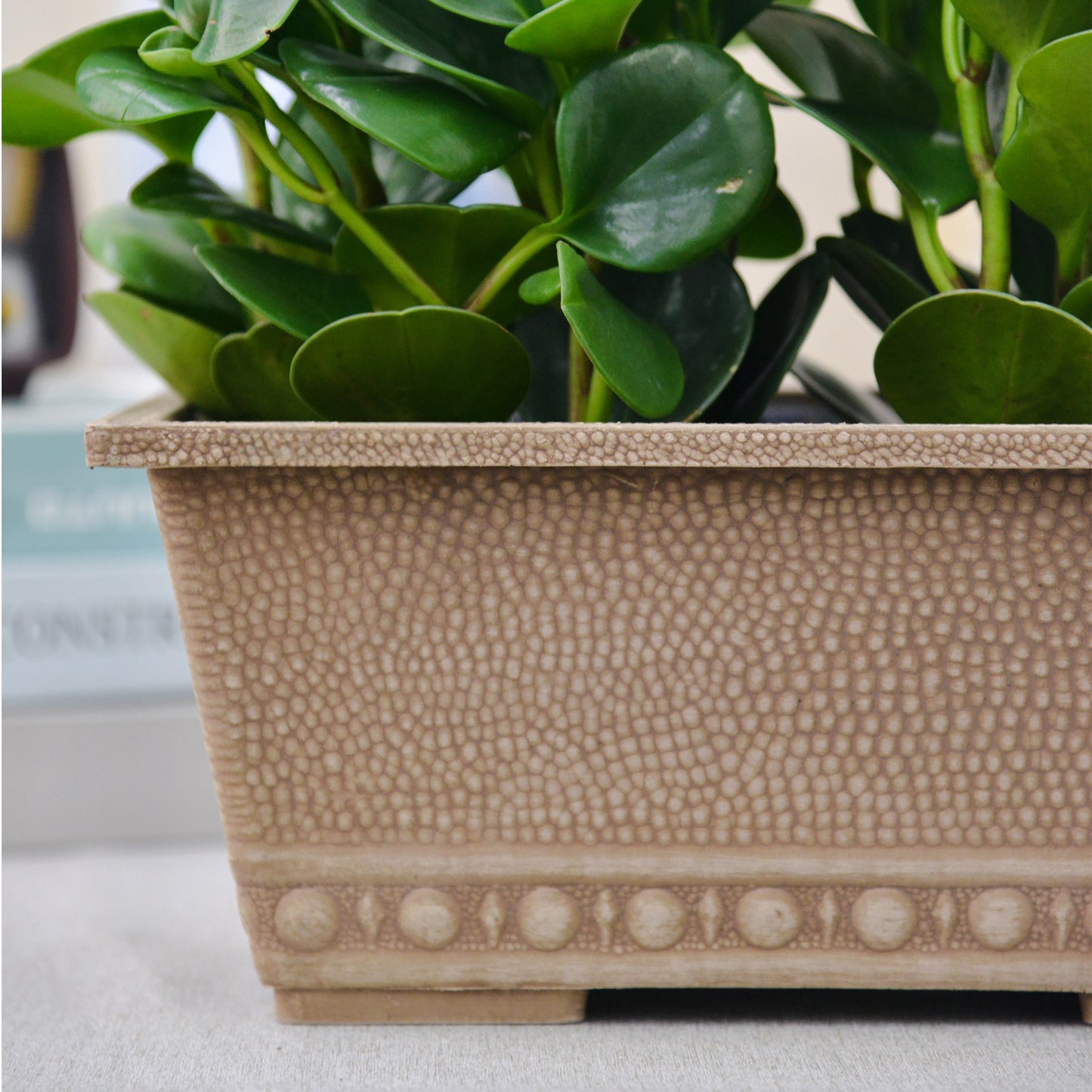 GreenShip 13.4 L x 8.66 W x 5.52 H inch Classic Long Large Rectangular Window Box Planter for Indoor Outdoor Patio Balcony, Durable Window Planter with Drainage Hole(Plants Not Included)