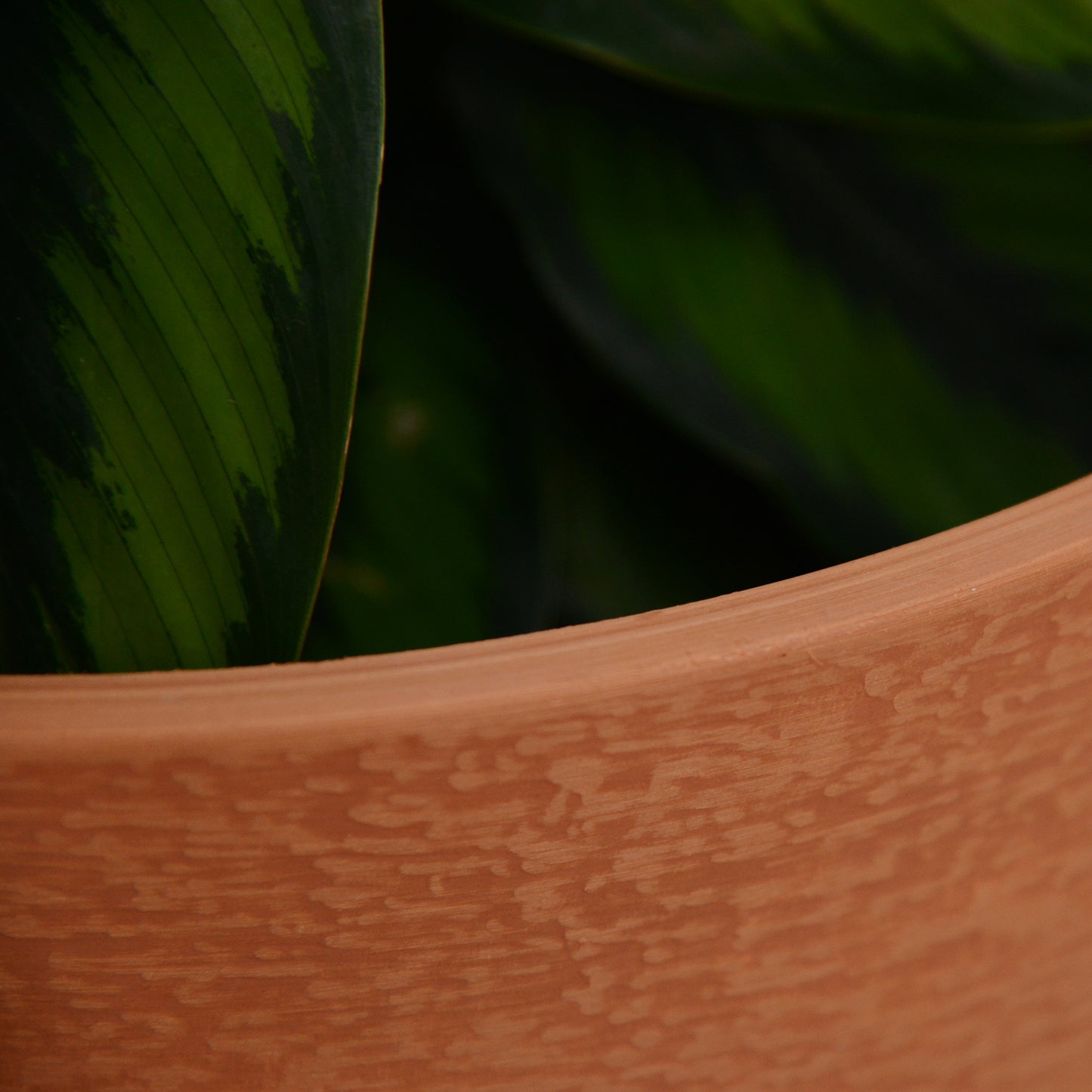 GreenShip Palm and Vine 15 in. W x 12.2 in. H Indoor/Outdoor Resin Decorative Planter
