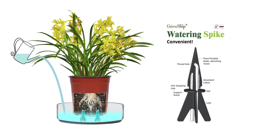 Self-Watering Planter Insert