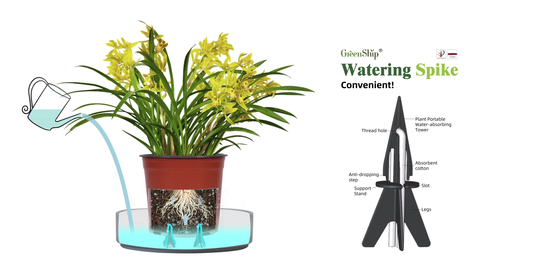 Enjoy a Stress-Free Vacation with an Automatic Plant Watering System