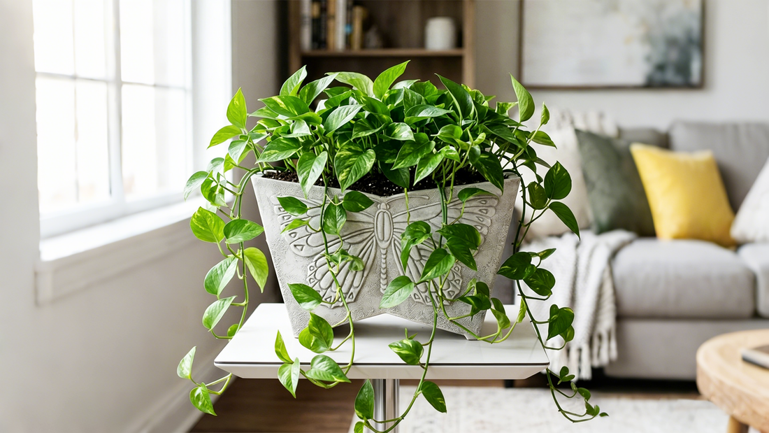 A Charming Planter for Spring Flowers and Succulents