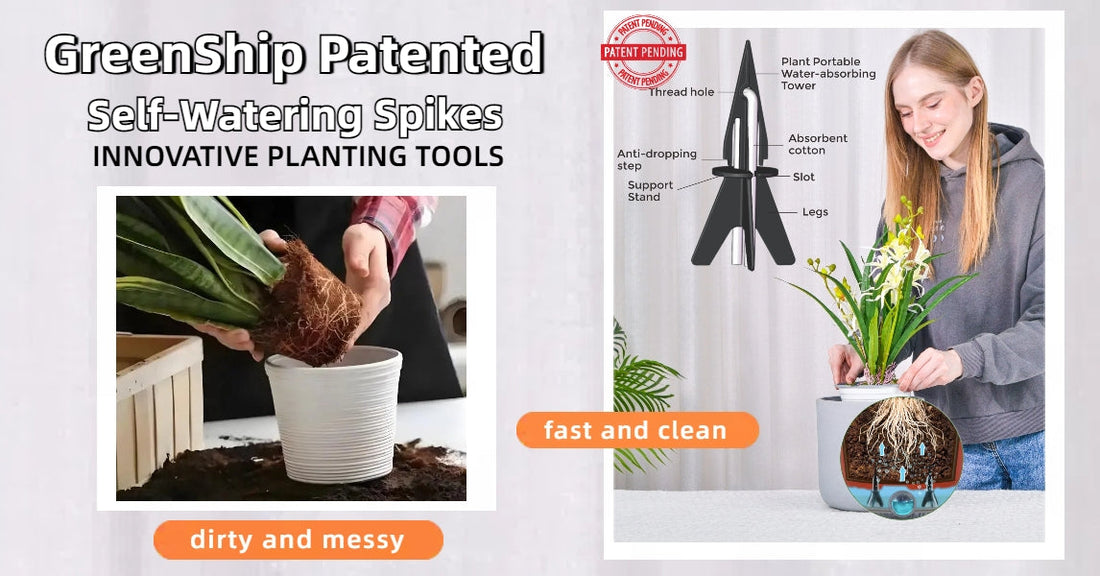 Refresh Your Plant Care Routine with Plant Watering Spikes