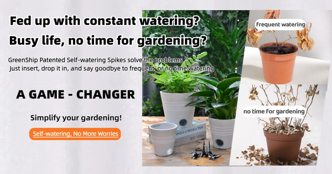 Enjoy a Stress‑Free Vacation with an Automatic Plant Watering System