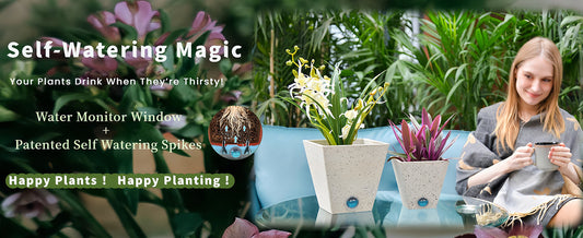 Why Self-Watering Indoor Planters Are a Game Changer for Plant Care