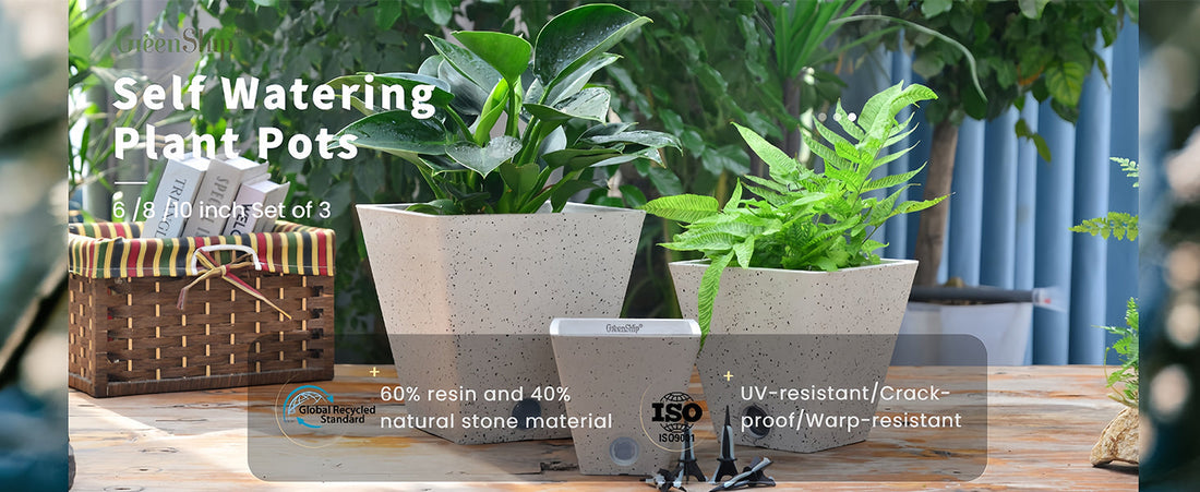 Best Planter Pots for Indoor Plants That Combine Style and Drainage