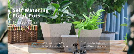 Best Planter Pots for Indoor Plants That Combine Style and Drainage