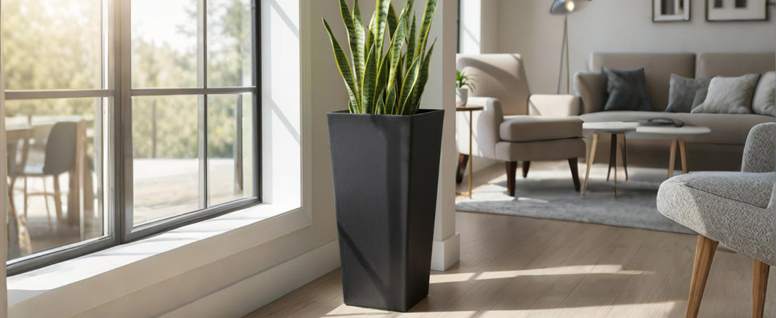 Prepare Your Container Garden Before Vacation with Tall Planters That Drain