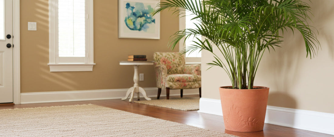 Bring New Life to Your Space with a Decorative Planter