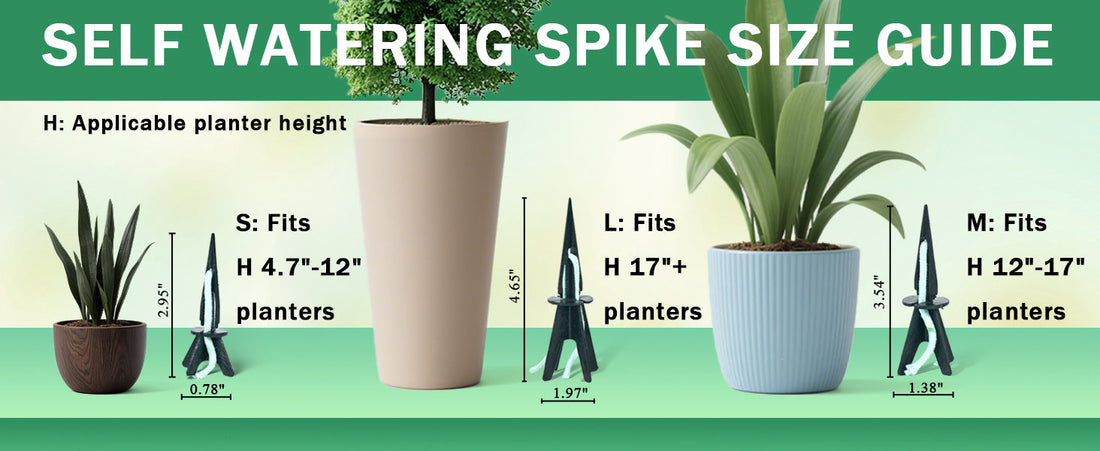 Build a Smarter Plant Care Routine with DIY Self-Watering Spikes