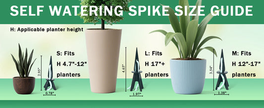 Build a Smarter Plant Care Routine with DIY Self-Watering Spikes