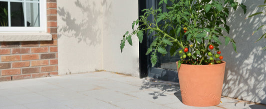 Why Spring Is the Perfect Time to Upgrade Your Flower Pots