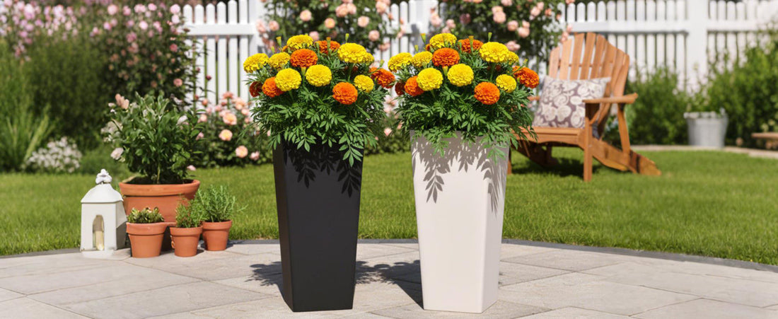 Best Plants to Grow in Large Planters for Outdoors (Trees, Flowers, and Herbs)