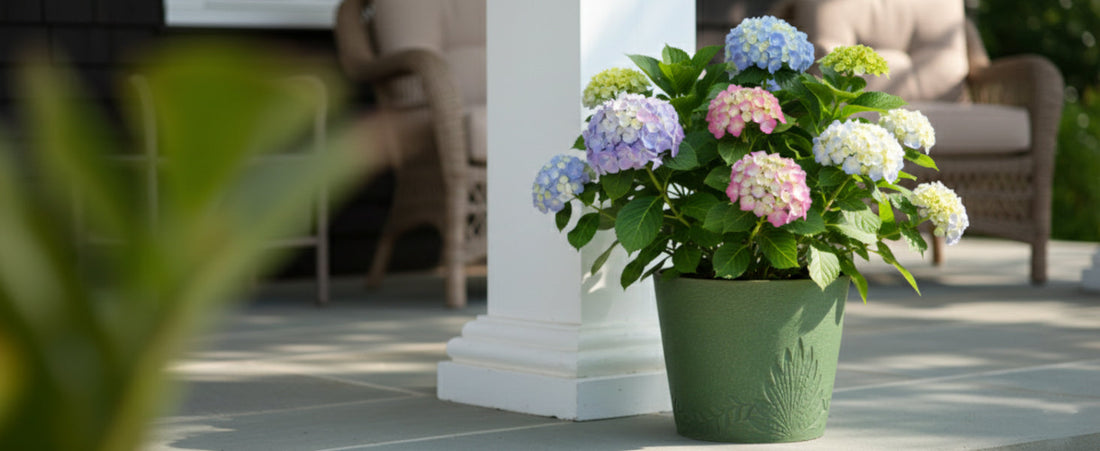 Spring Planting Season Is Here: Refresh Your Space With Decorative Planters