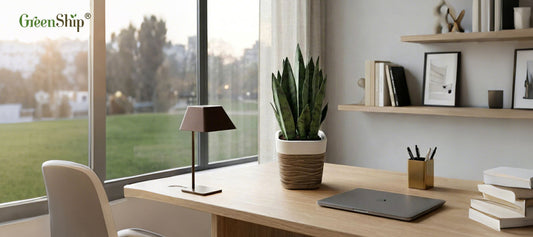 Create a Fresh Summer Look with a Decorative Artificial Snake Plant