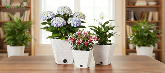Self Watering Planters with Water Level Windows: A Smarter Way to Care for Plants