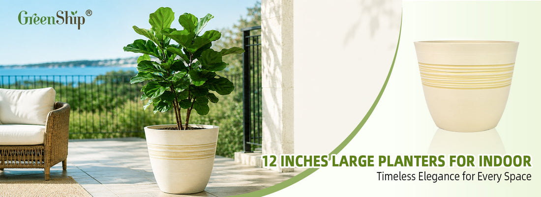 Give Your Plants a Healthier Home with Planter Pots with Drainage Holes