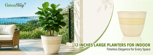Give Your Plants a Healthier Home with Planter Pots with Drainage Holes