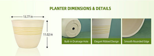 How to Reduce Overwatering Risks While You Travel with Drainage Hole Planters