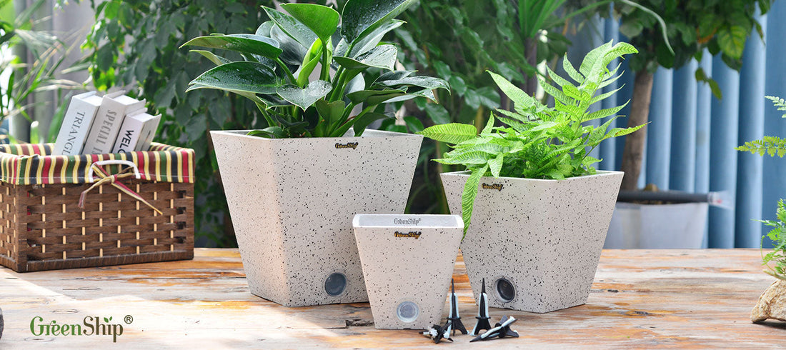 Self-Watering Pots for Indoor Plants: Effortless Greenery for Busy People