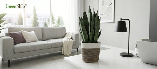 Choose Realistic Fake Plant Decor for a Stylish and Low-Maintenance Gift