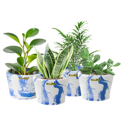 GreenShip Small Planters for Indoor Plants,5 inch Plante, Modern Plant Pots,Windowsill Planters Set, Home Office Decorative Flower Pots(Plants Not Included)