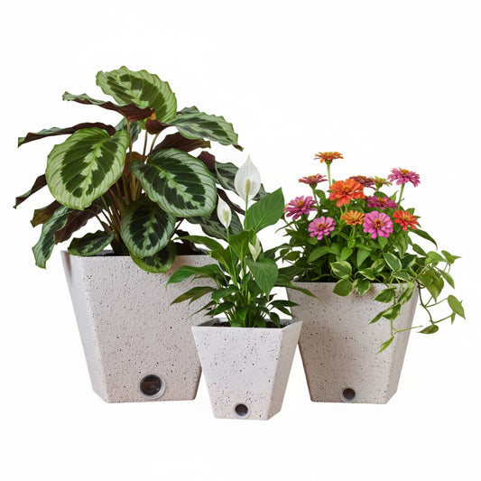 GreenShip Self Watering Pots for Indoor Plants, 6 inch 8 inch 10 inch Set of 3 Planter, White Modern Decorative Flower Pots(Plants Not Included)