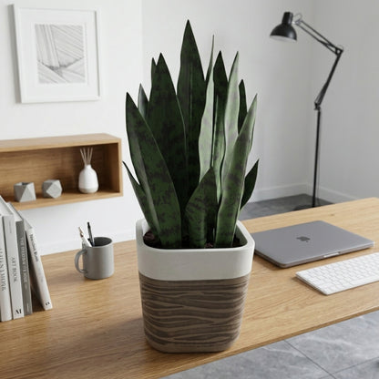 GreenShip 17" Artificial Snake Plant in Two-Tone Square Pot | Low-Maintenance Faux Potted Plant for Home & Office Decor