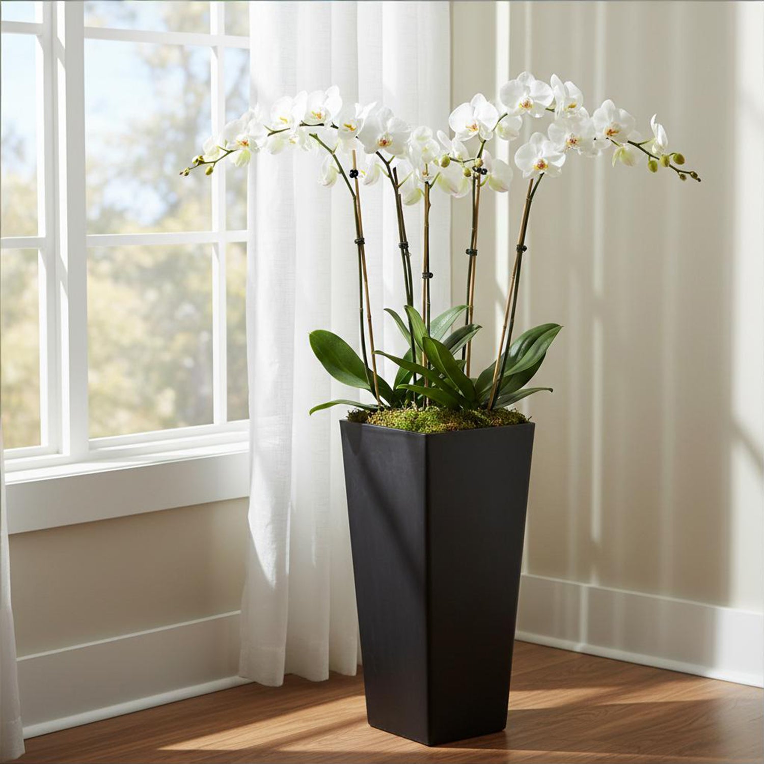 long planter indoor GreenShip 27 inch Tall Planters for Indoor Outdoor Plants, Set of 2