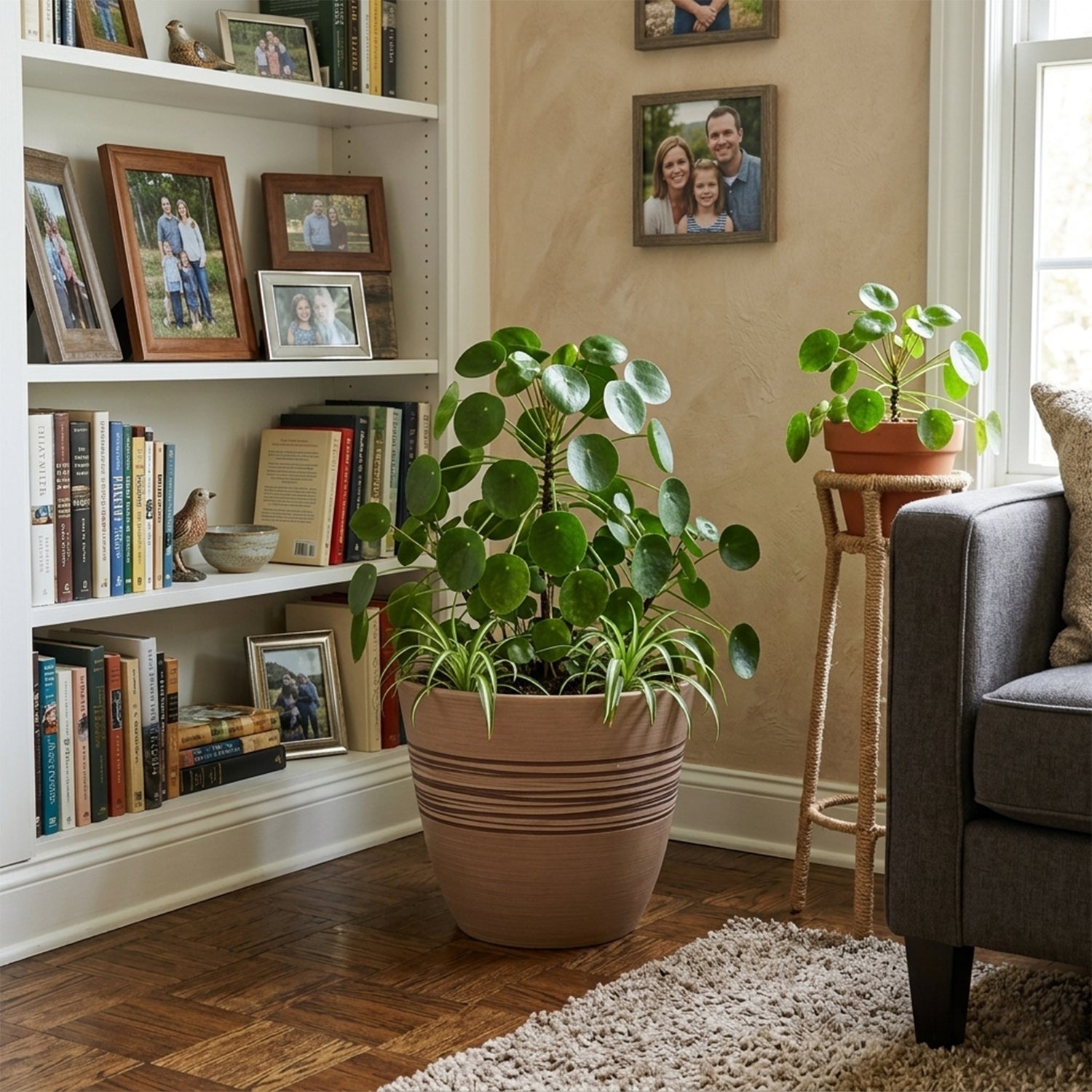 plant pots for living room GreenShip Planter Pots for Indoor & Outdoor Plants, Set of 2 Modern De – GreenShip Garden USA