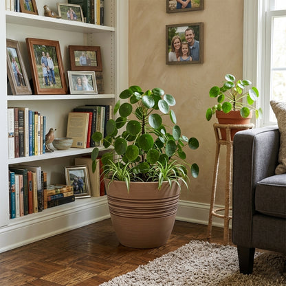 GreenShip Planter Pots for Indoor & Outdoor Plants, Set of 2 Modern Decorative Flower Pots with Drainage Hole