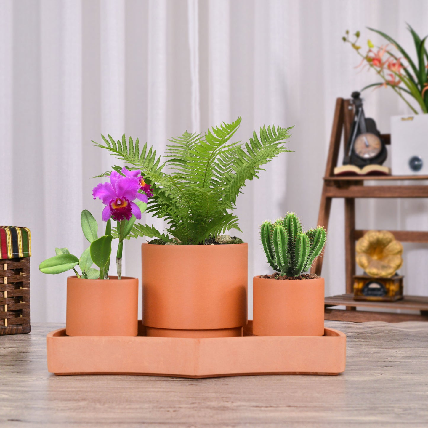 GreenShip Self-Watering Plant Pot Set of 3 with Saucer, Round Planter for Indoor Plants with Self Wicking Stand, Modern Decorative Flower Pots(Plants Not Included)