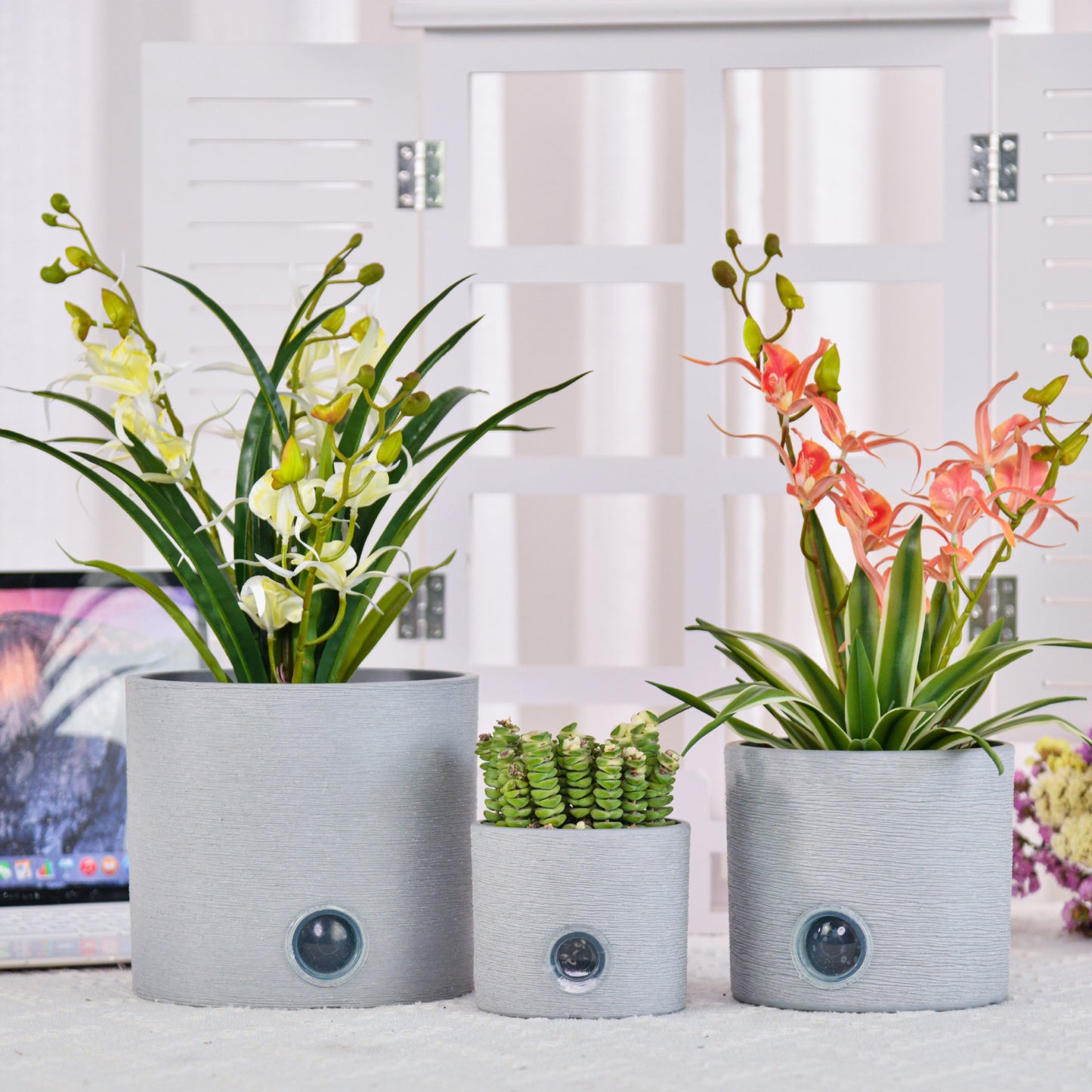 GreenShip Cylinder Self-Watering Plant Pots for Indoor Plants, 5 6 8 inch Set of 3 Planter with Self-Watering Spikes, Modern Decorative Flower Pots(Plants Not Included)