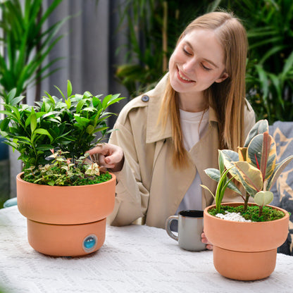 GreenShip Self-Watering Plant Pot Set of 2, Round Planter for Indoor Plants with Self Wicking Stand, Modern Decorative Flower Pots(Plants Not Included)