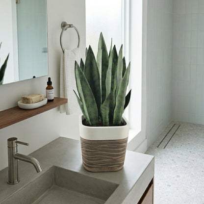 GreenShip 17" Artificial Snake Plant in Two-Tone Square Pot | Low-Maintenance Faux Potted Plant for Home & Office Decor