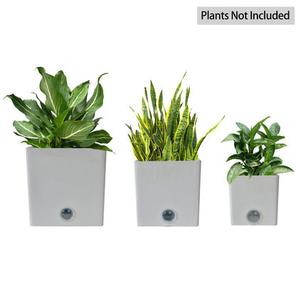 GreenShip Square Self-Watering Plant Pots for Indoor Plants, 6 inch 8 inch 10 inch Set of 3 Planter with Self-Watering Spikes, Modern Decorative Flower Pots(Plants Not Included)