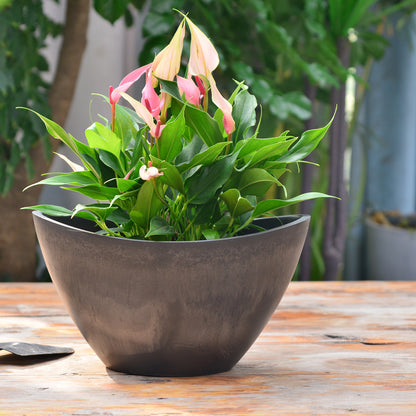 GreenShip 2 Pack Curved Planter for Indoor Plants, Plant Pots with Drainage Hole, Decorative Flower Pots, Plant Pot Bowl(Plants Not Included)