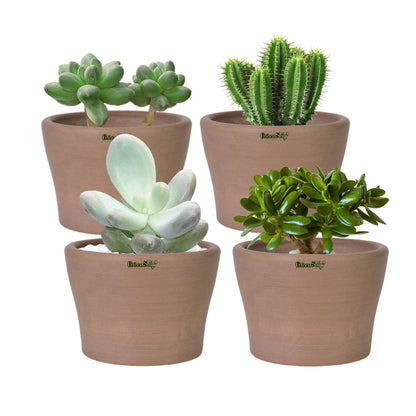 GreenShip Small Planters for Indoor Plants,5 inch Plante, Modern Plant Pots,Windowsill Planters Set, Home Office Decorative Flower Pots(Plants Not Included)