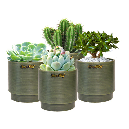 GreenShip Small Planters for Indoor Plants,5 Inch Planters with Drainage Hole,Modern Plant Pots,Windowsill Planters Set, Home Office Decorative Flower Pots(Plants Not Included)