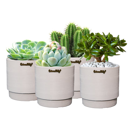 GreenShip Small Planters for Indoor Plants,5 Inch Planters with Drainage Hole,Modern Plant Pots,Windowsill Planters Set, Home Office Decorative Flower Pots(Plants Not Included)