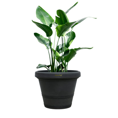 GreenShip 12 inch or 16 inch Large Planter with Drainage Hole,Modern Plant Pots for Indoor Outdoor Garden Plants and Flowers(Plants Not Included)