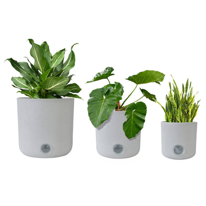 GreenShip 3 Pack Self-Watering Pots for Indoor Plants, 6 inch 8 inch 10 inch Planter, Modern Decorative Flower Pots(Plants Not Included)